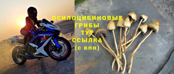 тгк Балахна