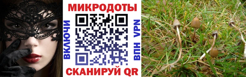 Галлюциногенные грибы GOLDEN TEACHER  продажа наркотиков  Красноармейск 